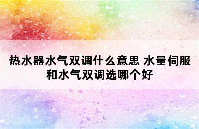 热水器水气双调什么意思 水量伺服和水气双调选哪个好